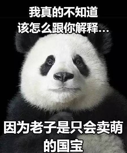 我真不知道怎么跟你解释表情包