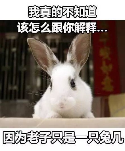 我真不知道怎么跟你解释表情包