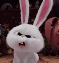 爱宠大机密萌兔子表情包gif