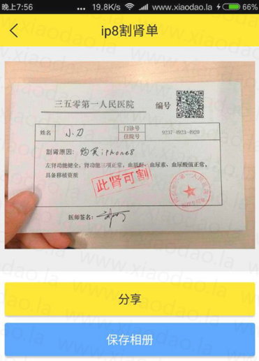 iphonex恶搞割肾单生成器下载|iphonex恶搞割肾单生成软件 _5577我机网