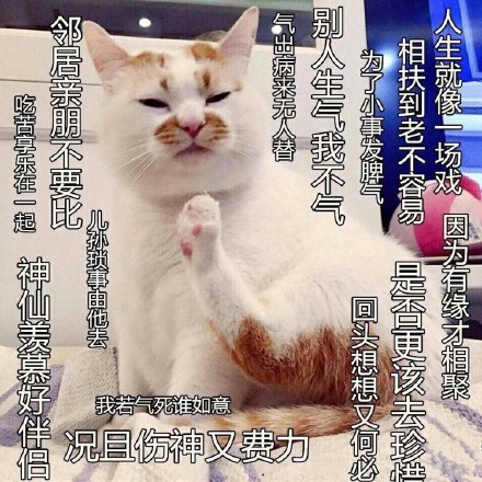 莫生气表情下载|莫生气在难逃杰表情包表情_5577我机网图片