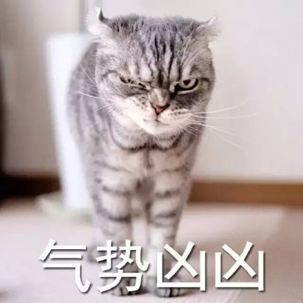 我超凶的动态live加表情表情包怎么图片