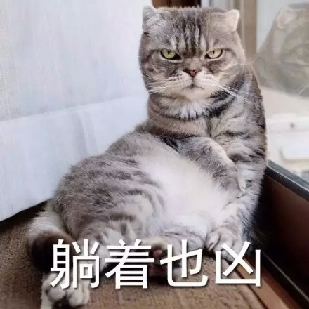 我超凶的表情包下载|我超凶的表情包原图无水印完整版下载v1.0_游迅网