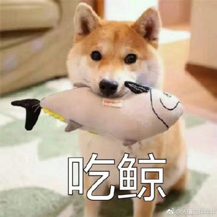 a表情斗图表情化妆品品牌包表情图片