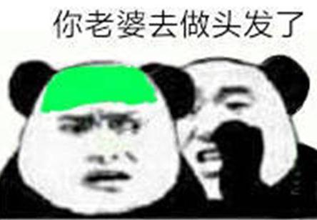 你老婆做头发去了梗表情包