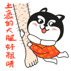 首页 应用程序 生活.八卦.