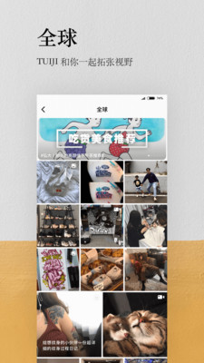 �Ƽ���׿��