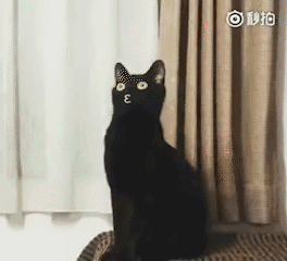 ϵĺèֽ-ϵĺèͼƬ _5577