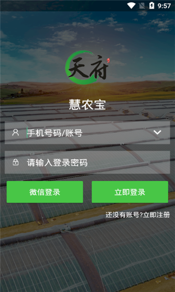츮ũ