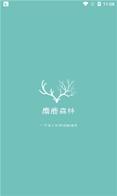 ��¹ɭ�ְ�׿��