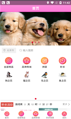 ����֮����׿��