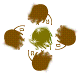 抖音斗图摇头动态表情包