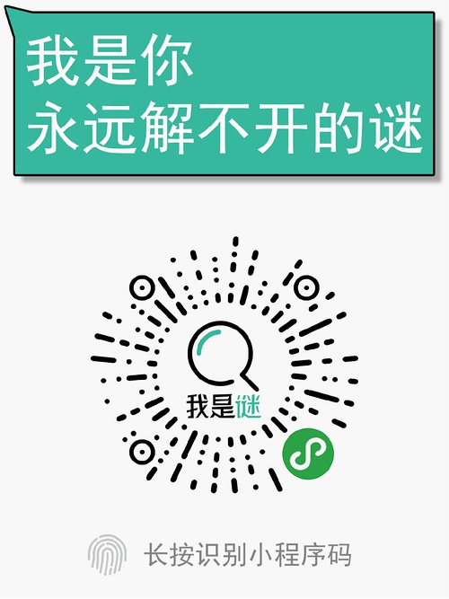 我是谜推理游戏