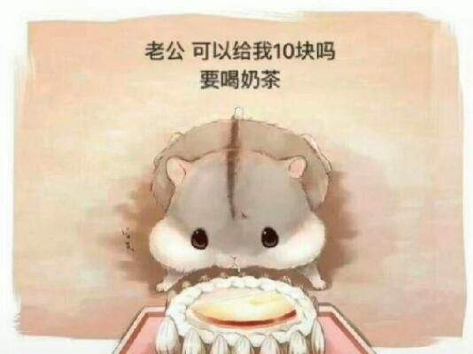 抖音仓鼠要钱系列表情滑的次连续两倒表情包图片