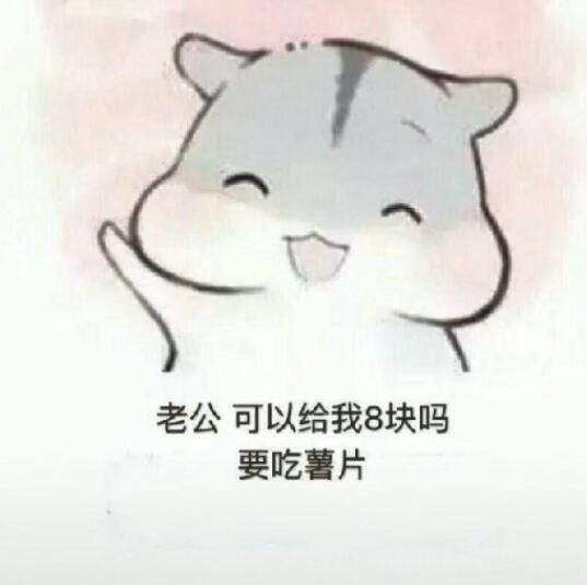 抖音表情要钱系列白色圆头仓鼠包头像表情图片