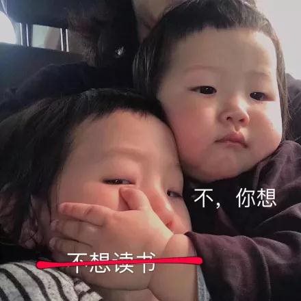 小女孩捂脸表情包高清版