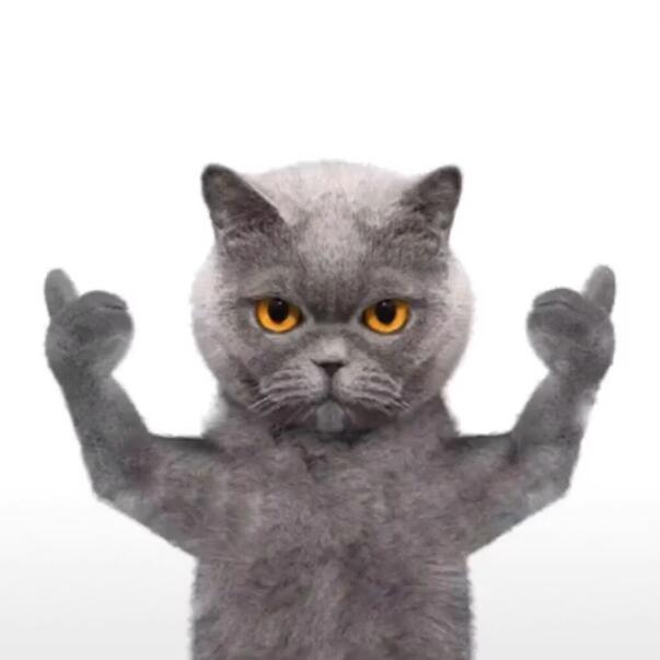 英短蓝猫表情包?