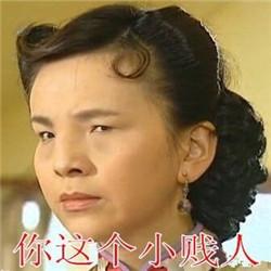 雪姨小眼撕逼搞怪表情包