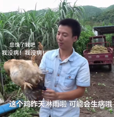 华农兄弟竹鼠表情包高清版