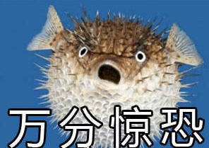 气成河豚表情包无水印大全