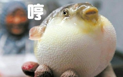 气成河豚动漫无表情大全摔表情过头水印包图片
