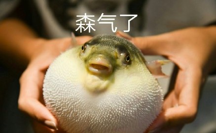 气成河豚表情包无水印大全