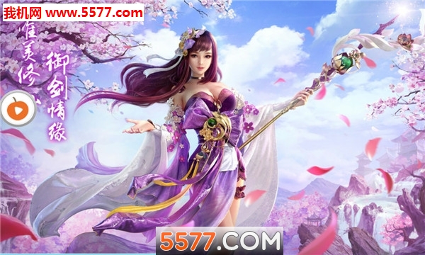 ���ɺ�������