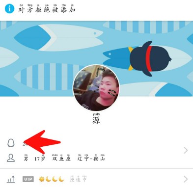 QQֻܾ