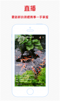 鱼趣安卓版 鱼趣安卓版
