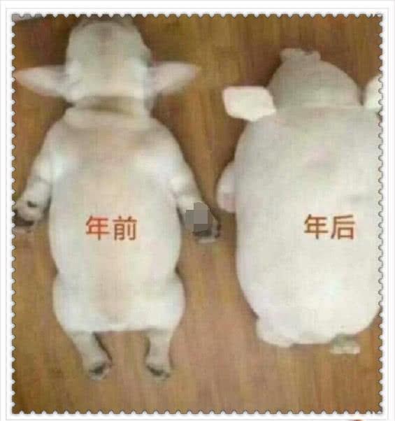 年前年后肥胖对比卡通表情包