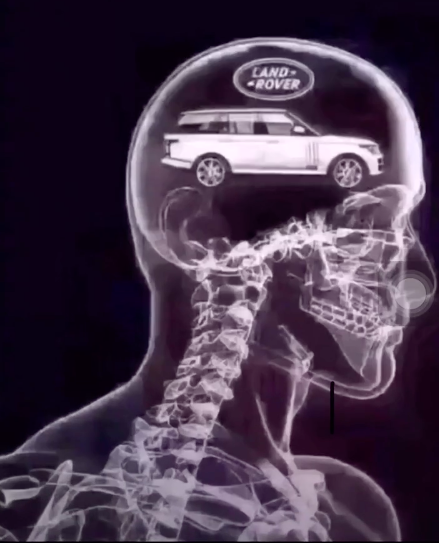 生活娱乐 → 抖音满脑子都是车钱ct表情包   满脑子想的全是钱ct图片