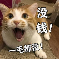 毛都没有一根搞笑带字表情图片