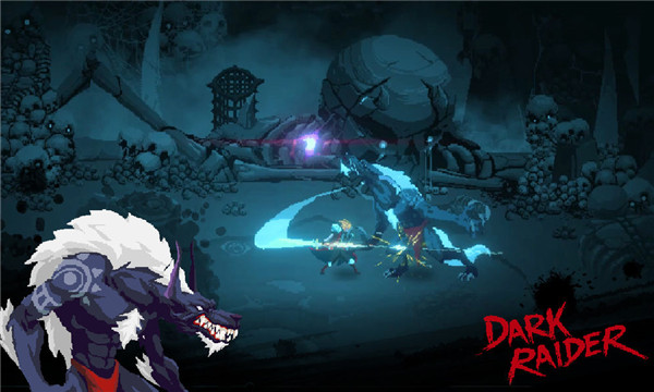 dark raiderϷ(ڰ)