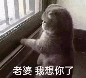 老婆我来了表情包安卓版