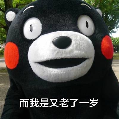 岁组图表情包,2020年还有不到半个月就来临了,眼睁睁看着自己又大了一
