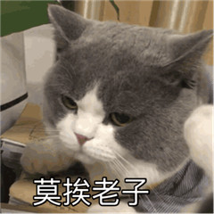 好想谈恋爱莫挨老子gif动态表情包