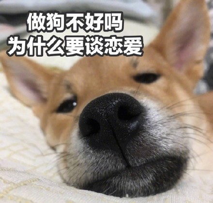2019单身狗表情包