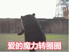 爱的魔力转圈圈图片