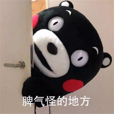 抖音熊本熊表情包