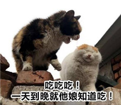 知道吃一天到晚就吃吃吃表情死表情妈图片包日的你图片