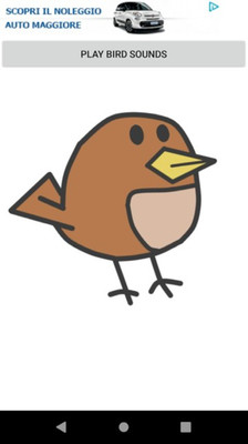 bird sounds׿