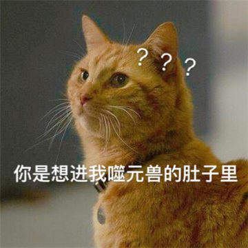 惊奇队长橘猫图片