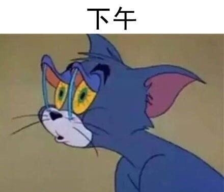 抖音汤姆猫每天状态表情图片