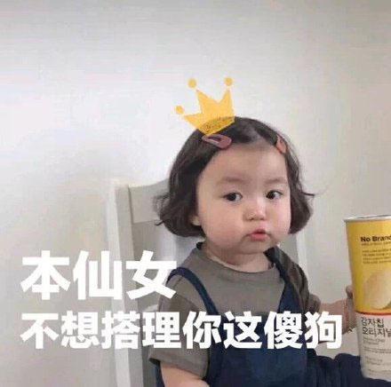 本仙女不想搭理你这条傻狗表情包