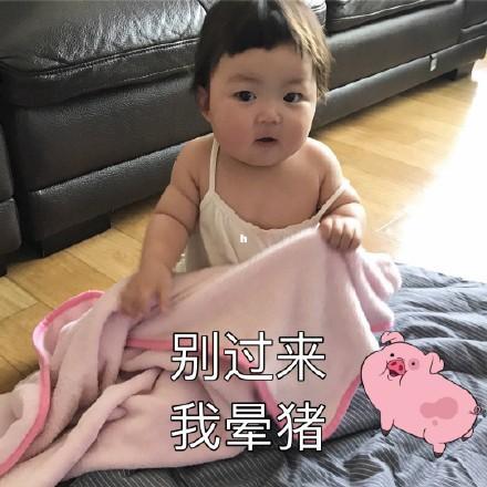 本仙女不想搭理你这条傻狗表情包