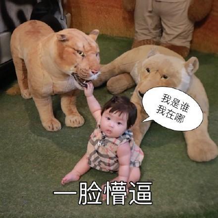 本仙女不想搭理你这条傻狗表情包