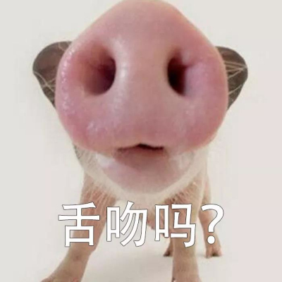 舌吻吗一只猪的表情包下载-抖音舌吻吗一只猪图片下载