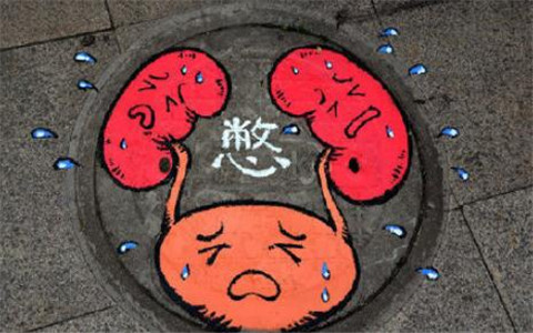 医学器官井盖表情包图片