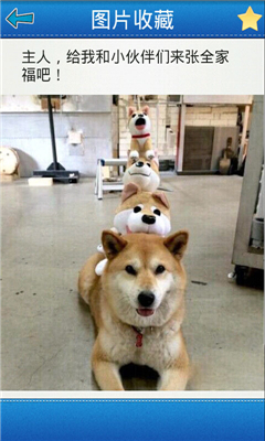 Цö°
