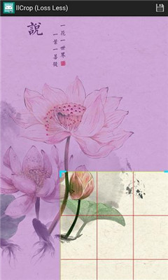 llCropƬapp